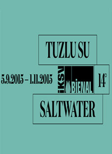 ვინ წარადგენს საქართველოს სტამბოლის ბიენალეზე?