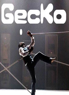 „Gecko“ საქართველოში ჩამოდის