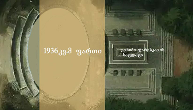 არაჩვეულებრივი იდეა ვაკის პარკთან დაკავშირებით