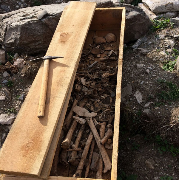 გაუგონარი ვანდალიზმი ნაეკლესიარზე