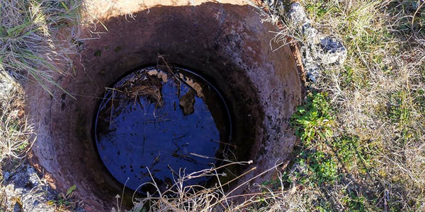 უმსგავსობა ბარგატის ტაძარში