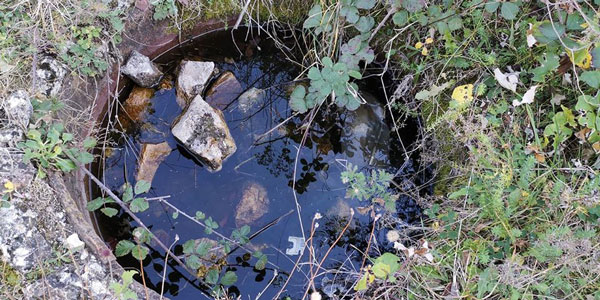 უმსგავსობა ბარგატის ტაძარში