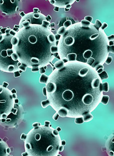 საუკეთესო საშუალება კორონავირუსთან საბრძოლველად