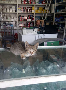 ლექსი, რომელიც სახეში ულაწუნებს