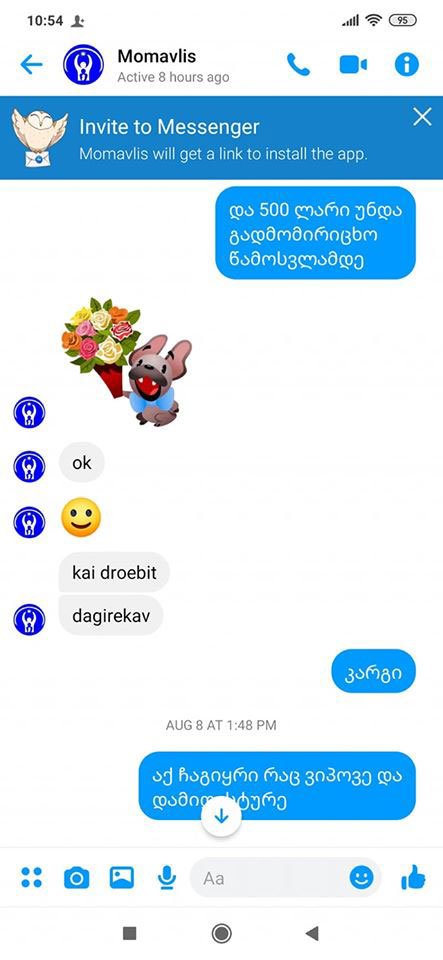 ნონა გიუნაშვილი თაღლითობის მსხვერპლია