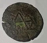 Tamaris moneta